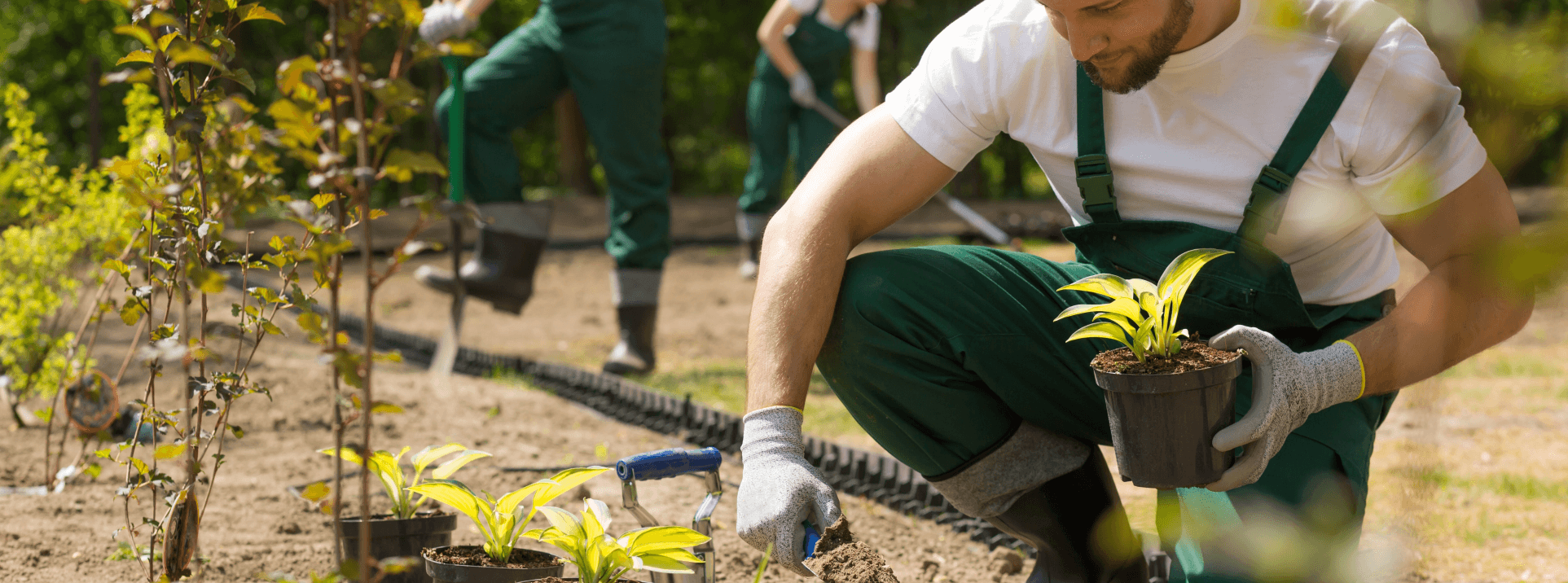 Garten- und Landschaftsbau – Galabau Lang Team bei der Arbeit