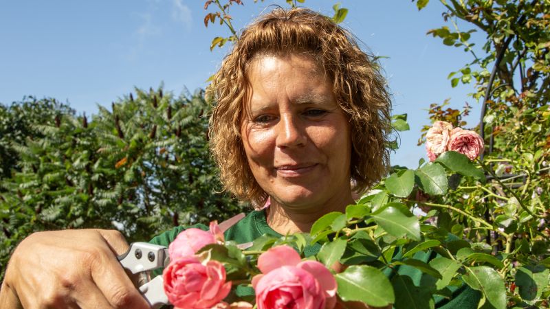Galabau Lang – Einblick in unsere Arbeitsumgebung und Projekte