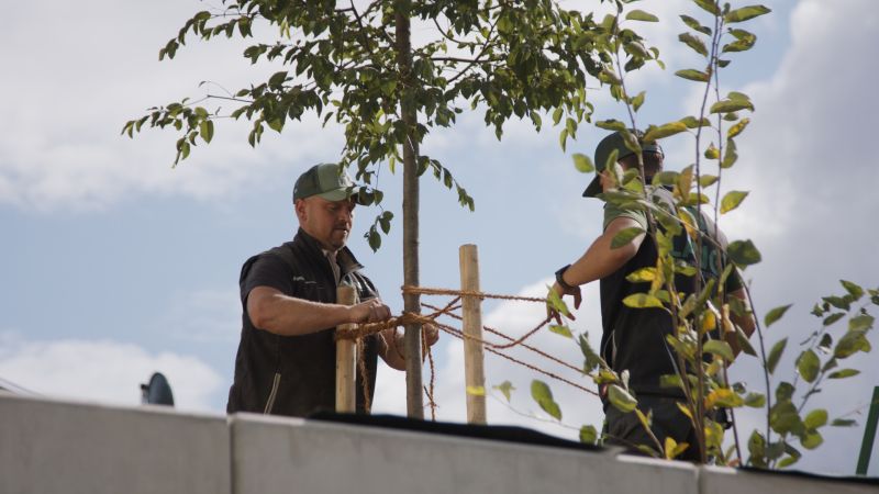 Galabau Lang – Einblick in unsere Arbeitsumgebung und Projekte