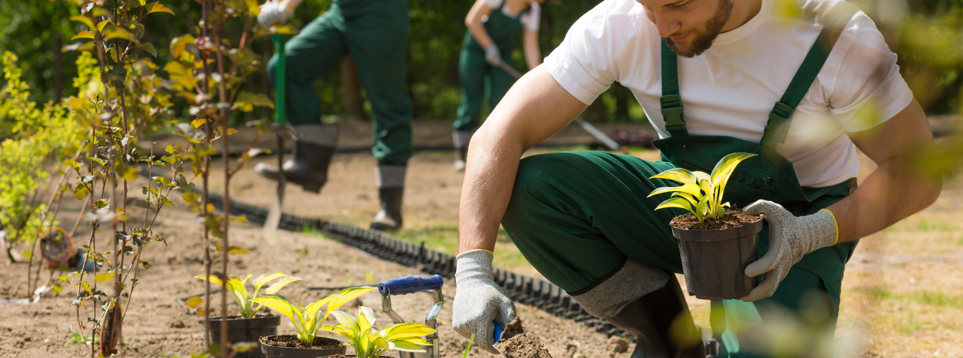 Garten- und Landschaftsbau – Galabau Lang Team bei der Arbeit